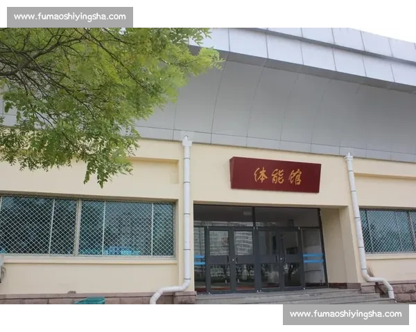 基于体育训练周期理论的体能提升与专项表现优化综合研究框架路径